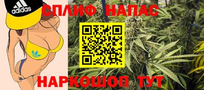 стаф Будённовск