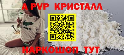 стаф Будённовск