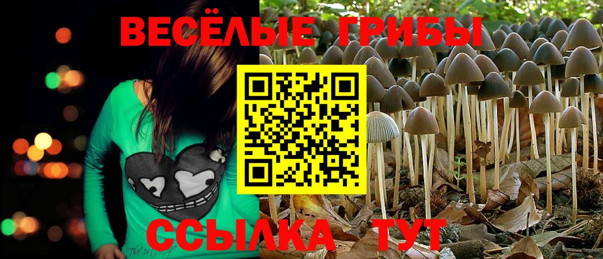 Галлюциногенные грибы Magic Shrooms Чапаевск