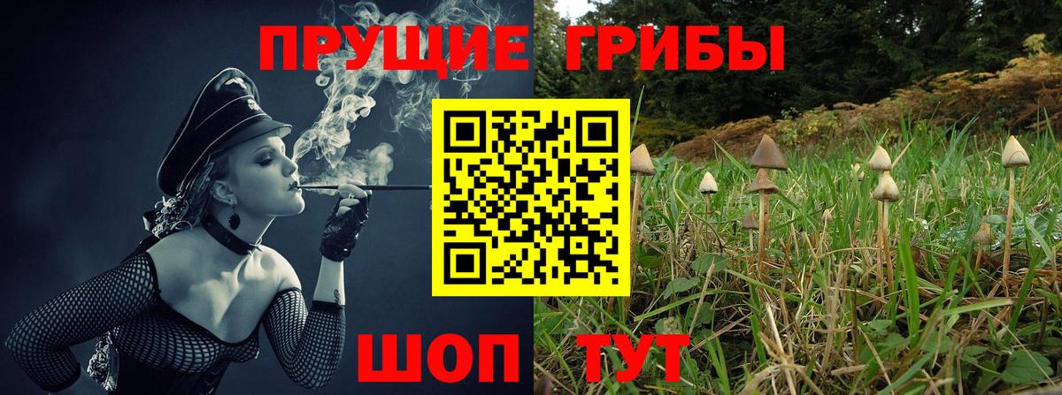 Галлюциногенные грибы ЛСД  Вход с VPN  Чапаевск 